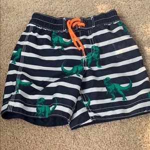 Dinosaur Swim Trunks